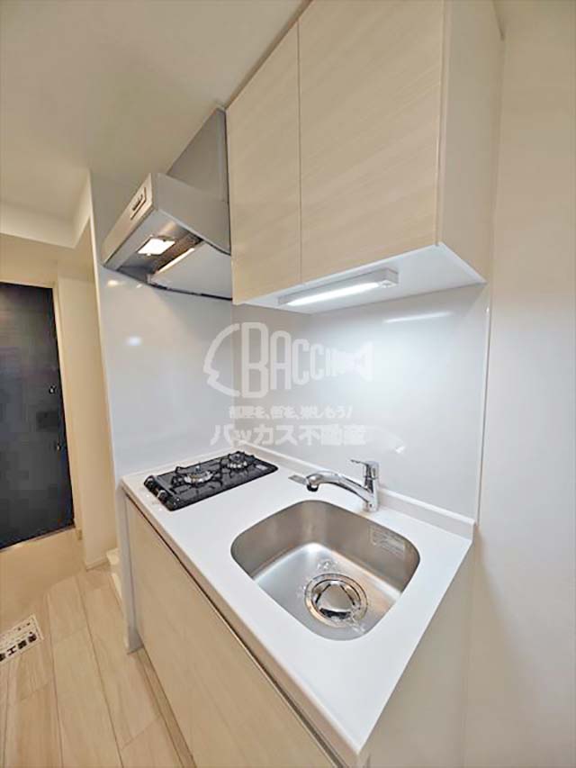 ルネフラッツ谷町四丁目 A2type 1K 24.75㎡